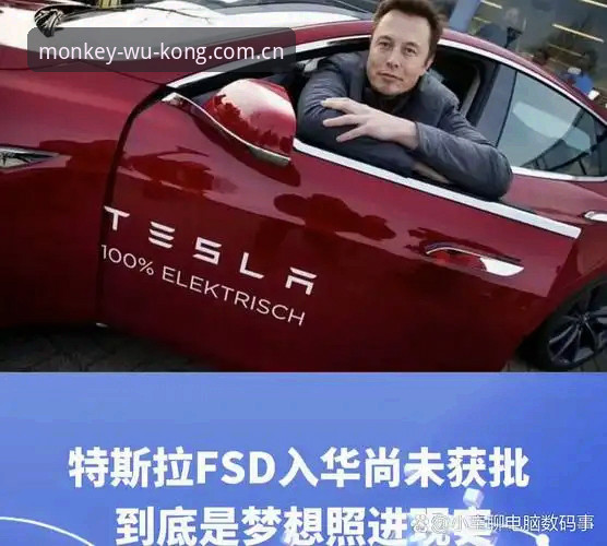 数据流里的分水岭：一位分析师的中国区悟空体育赛事数据使用心得